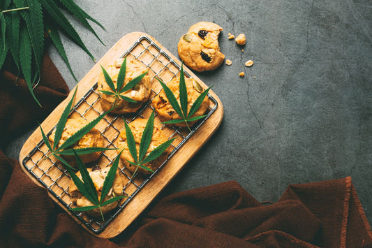 Unlocking the Healing Potential of Cannabis: Understanding CBD, THC, and Their Effects